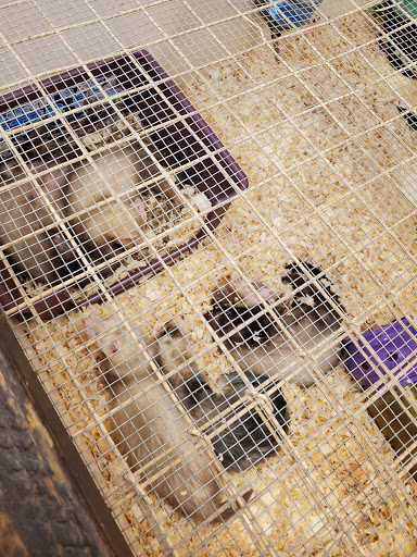 Pet Store «Pet World Warehouse Outlet», reviews and photos, 2984 S 108th St, Milwaukee, WI 53227, USA