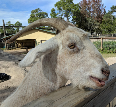 Alabama Gulf Coast Zoo