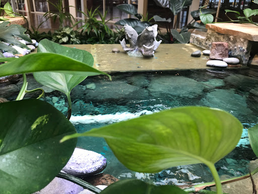 Shopping Mall «Oak Mill Mall», reviews and photos, 7900 N Milwaukee Ave, Niles, IL 60714, USA