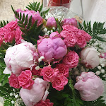 Photo n° 1 de l'avis de Amandine.o fait le 04/06/2024 à 09:08 pour Peyre Espace Floral à Draguignan