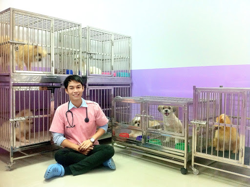 โรงพยาบาลสัตว์ปิยะเวช (PiyaVet Animal Hospital)