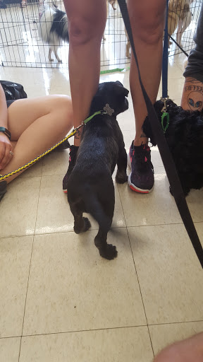 Pet Supply Store «Pet Supplies Plus», reviews and photos, 508 E Stroop Rd, Kettering, OH 45429, USA