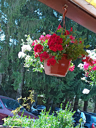 Photo n°37 de Restaurant la Pierre Chaude à Saint-Pierre-de-Chartreuse ()