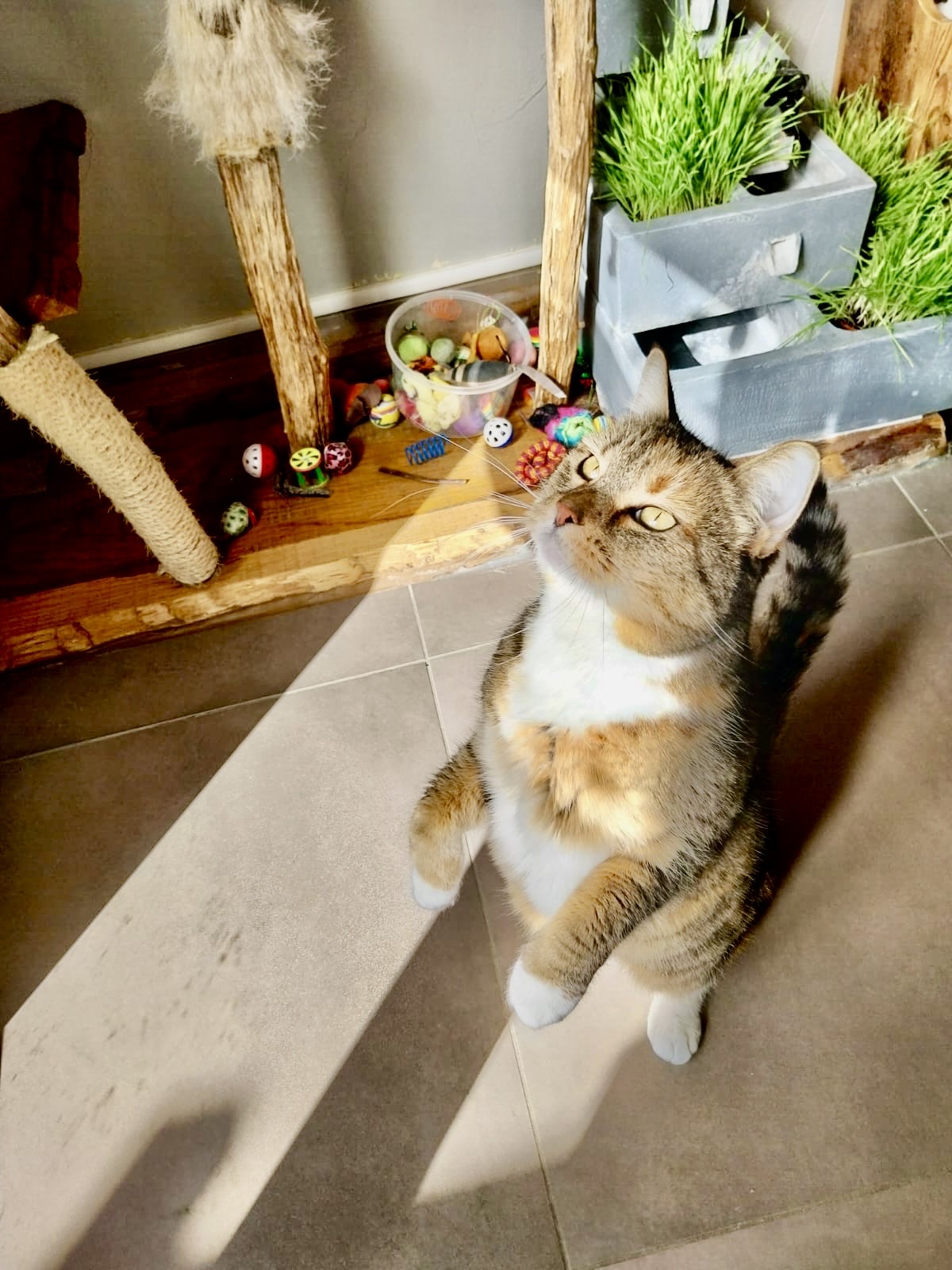 Photo n° 3 de l'avis de Laura.a fait le 26/03/2024 à 06:20