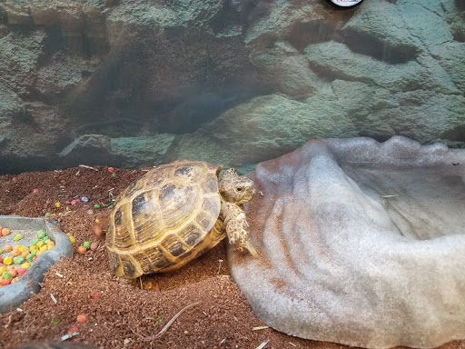 Pet Supply Store «Petco Animal Supplies», reviews and photos, 10 Sylvan St, Peabody, MA 01960, USA