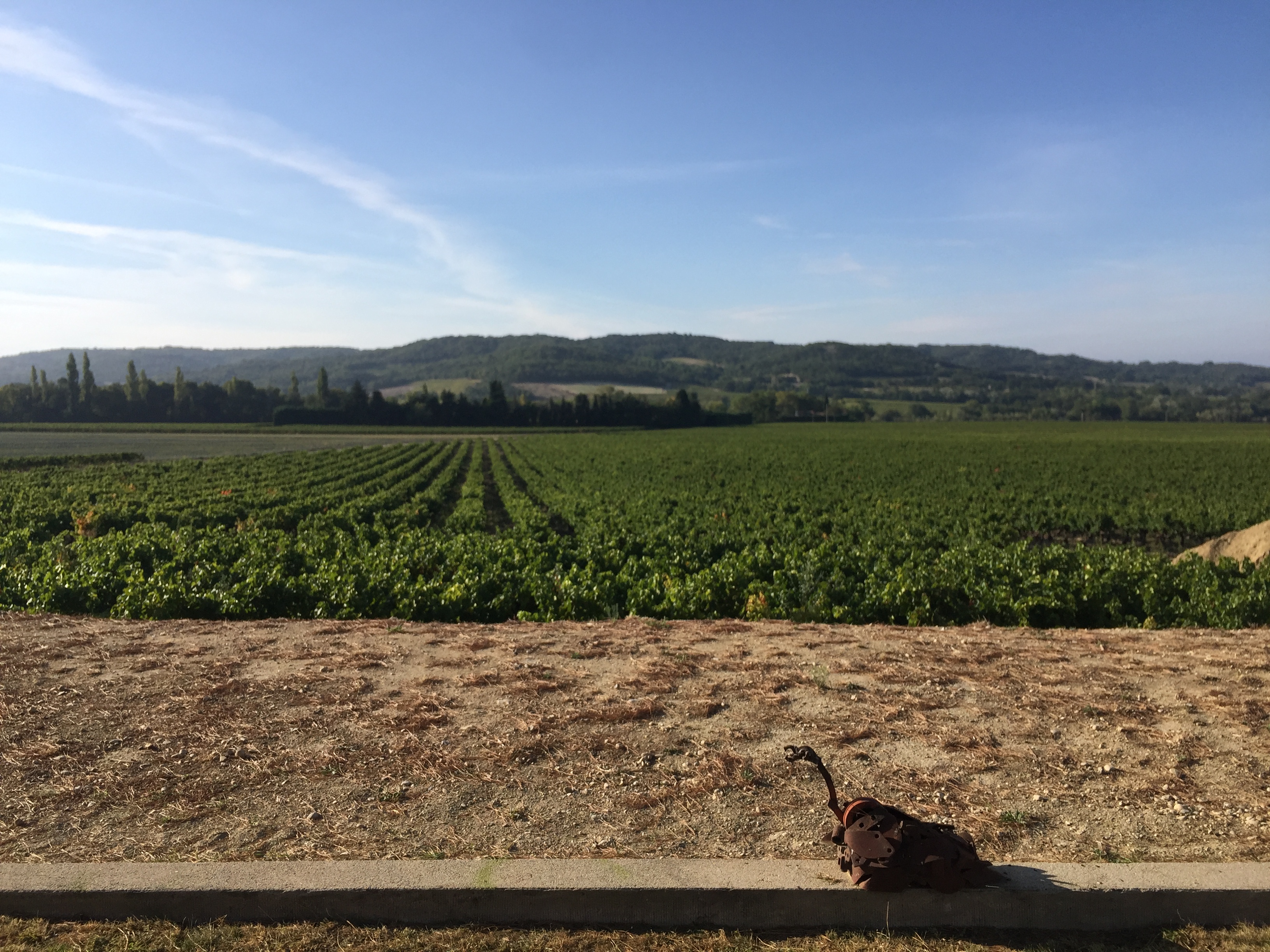 Photo n° 6 de l'avis de Lionel.e fait le 25/09/2017 à 13:11