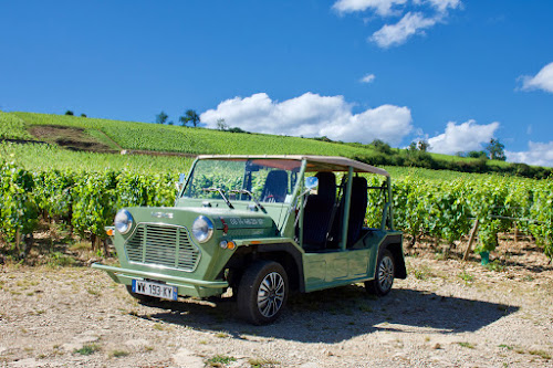 Cab for Day à Beaune