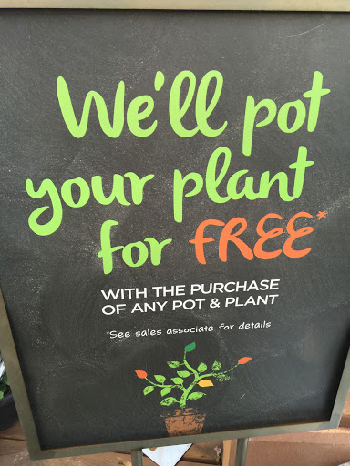 Hardware Store «Orchard Supply Hardware», reviews and photos, 452 Fair Oaks Ave, South Pasadena, CA 91030, USA