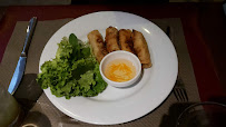 Rouleau de printemps du Restaurant vietnamien Indochine 45 à Saint-Jean-de-la-Ruelle - n°4