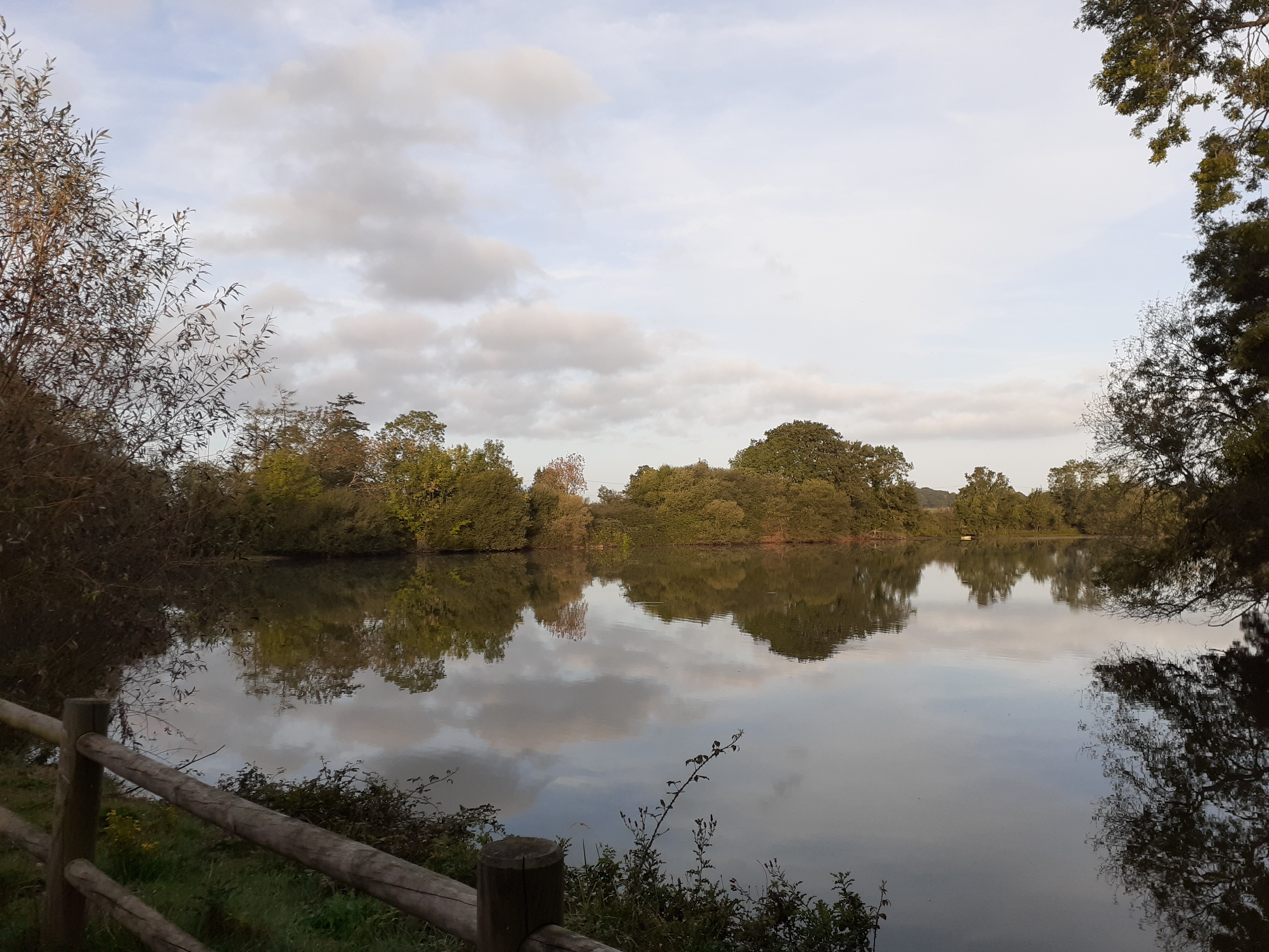 Photo n° 22 de l'avis de Laëtitia.e fait le 02/10/2023 à 06:38