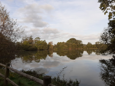 Gîte Moulin de l'Etang de Guiboeuf à Fercé