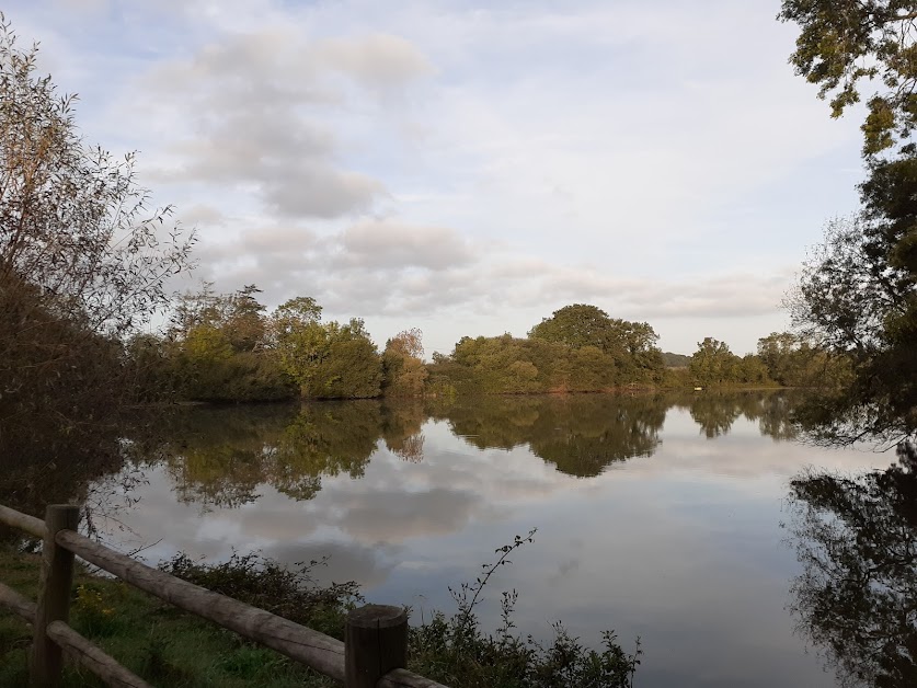 Gîte Moulin de l'Etang de Guiboeuf à Fercé (Loire-Atlantique 44)