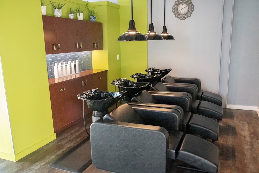 Salon Zen 18901