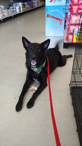 Pet Store «Petsense Enterprise», reviews and photos, 621 Boll Weevil Cir, Enterprise, AL 36330, USA