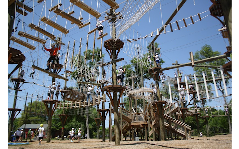 Wild Blue Ropes Adventure Park image