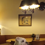 Photo n°1 de l'avis de Uli.. fait le 08/01/2022 à 18:37 sur le  Pizzeria da Giuseppe - Stöckeralm à Baiersbronn