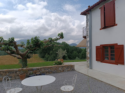 Espeletenia à Ciboure