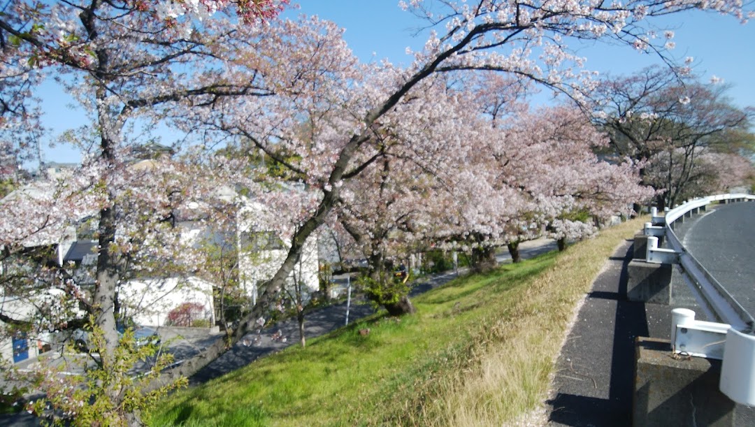 矢田川橋緑地