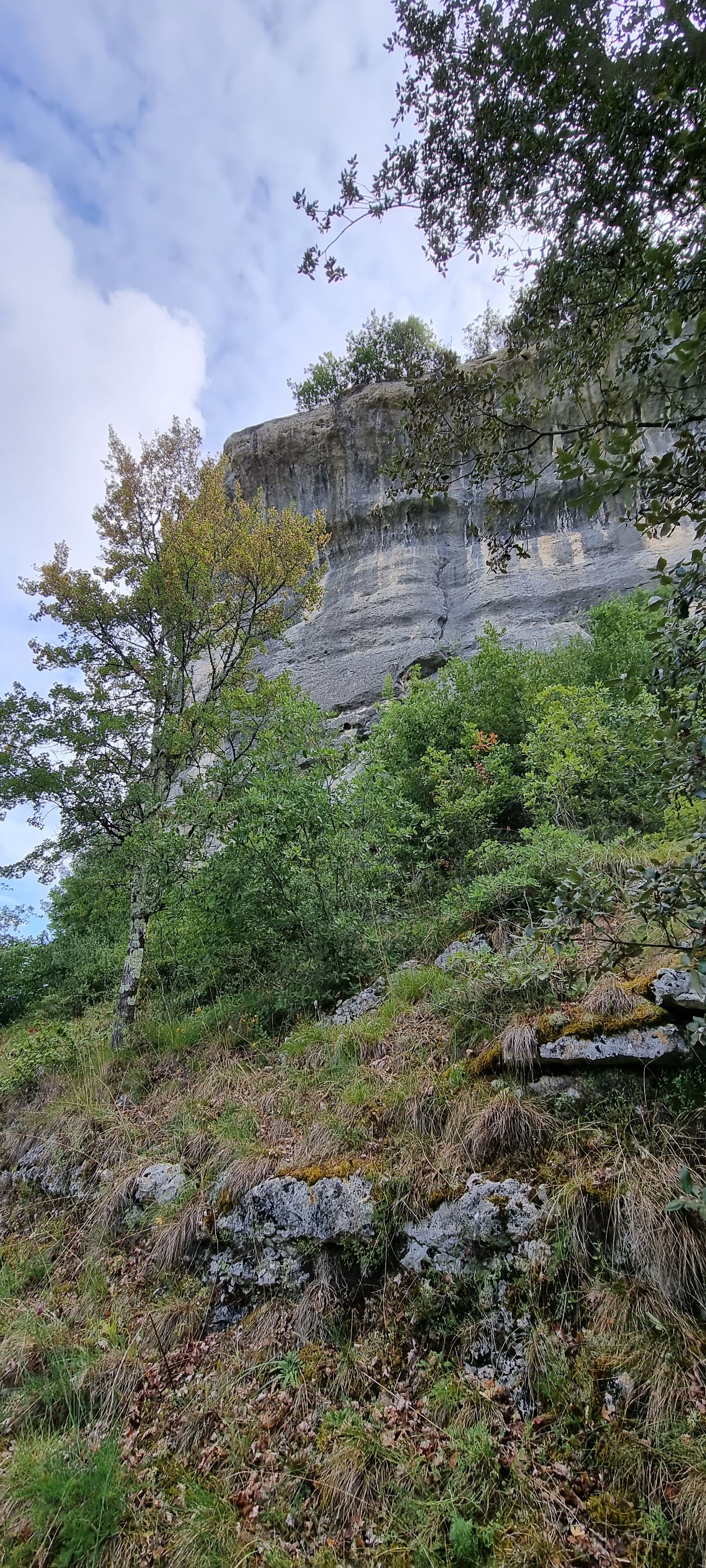 Photo n° 3 de l'avis de Boitrel.a fait le 01/08/2023 à 17:28