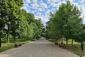 Park Svobody image