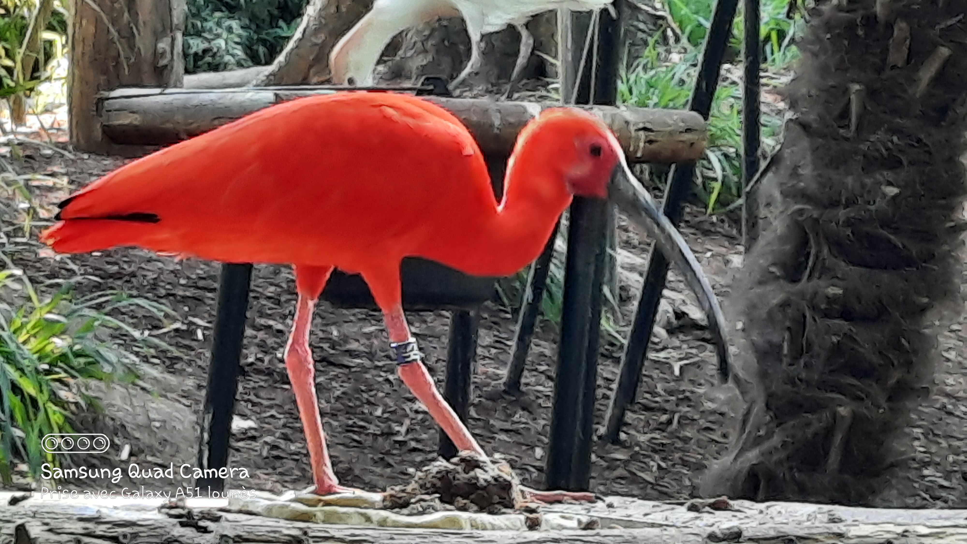 Photo n° 3 de l'avis de Lounes. fait le 02/06/2021 à 21:26