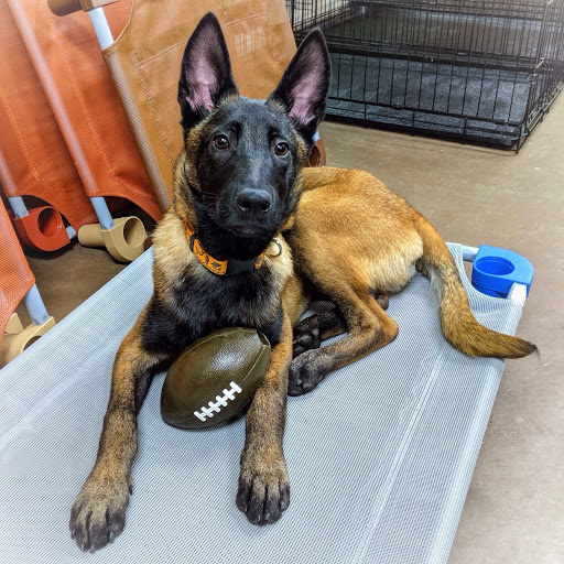 Pet Supply Store «Unleashed», reviews and photos, 1319 Military Cutoff Rd, Wilmington, NC 28405, USA