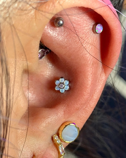 Explore cicada tattoo ideas, creative tattoo ideas in Fort Walton Beach, available at Piercings by Torrie