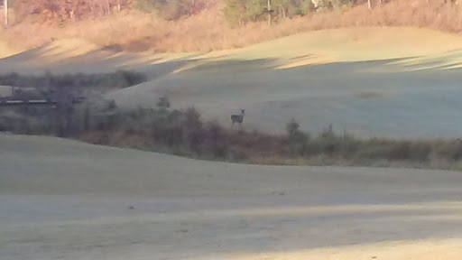 Golf Course «Windermere Golf Club», reviews and photos, 5000 Davis Love Dr, Cumming, GA 30041, USA