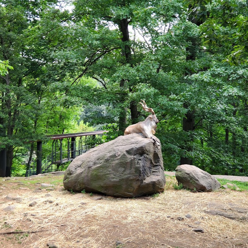 Wild Asia Monorail