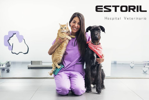 Anicura Estoril Hospital Veterinario | Urgencias 24H