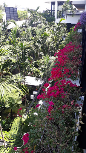 Book Store «Books & Books», reviews and photos, 9700 Collins Ave # 204, Bal Harbour, FL 33154, USA