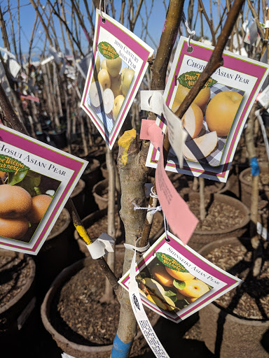 Hardware Store «Payless Hardware, Rockery and Nursery», reviews and photos, 2927 King Rd, San Jose, CA 95122, USA