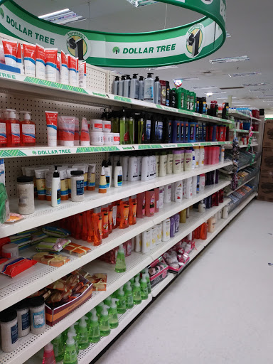 Dollar Store «Dollar Tree», reviews and photos, 5110 Pennell Rd, Media, PA 19063, USA