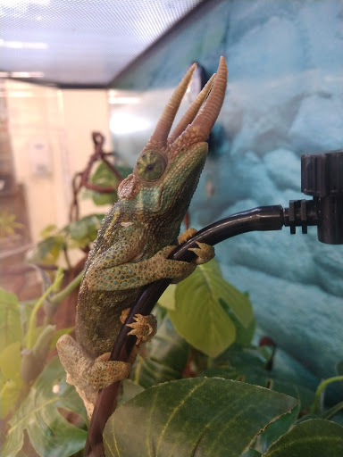 Pet Supply Store «Petco Animal Supplies», reviews and photos, 1080 S Main St, Kernersville, NC 27284, USA