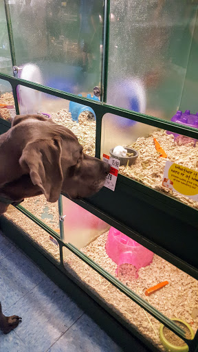 Pet Supply Store «Pet Supplies Plus», reviews and photos, 3100 Manchester Rd, Akron, OH 44319, USA