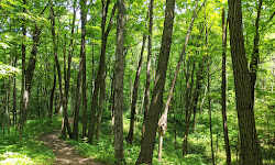 Ice Age Trail - West Bend Segment