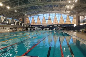 Wingate Olympic swimming pool image