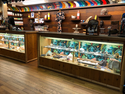 Surf Shop «Primal Surf», reviews and photos, 3106 Revere Blvd, Brigantine, NJ 08203, USA