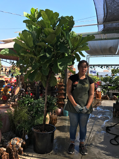 Florist «Plant Safari», reviews and photos, 653 N Central Ave, Upland, CA 91786, USA