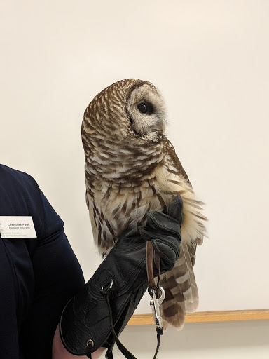 Nature Preserve «Stage Nature Center», reviews and photos, 6685 Coolidge Hwy, Troy, MI 48098, USA