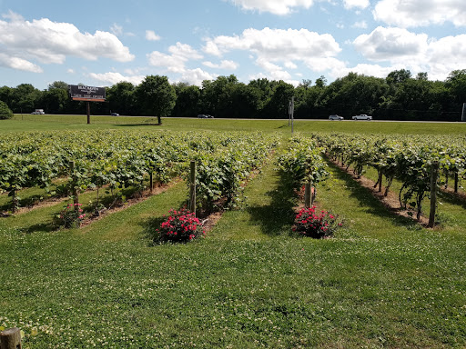 Vineyard «Beachaven Vineyards & Winery», reviews and photos, 1100 Dunlop Ln, Clarksville, TN 37040, USA