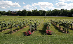 Beachaven Vineyards & Winery