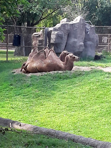 Zoo «Brookfield Zoo», reviews and photos, 8400 W 31st St, Brookfield, IL 60513, USA