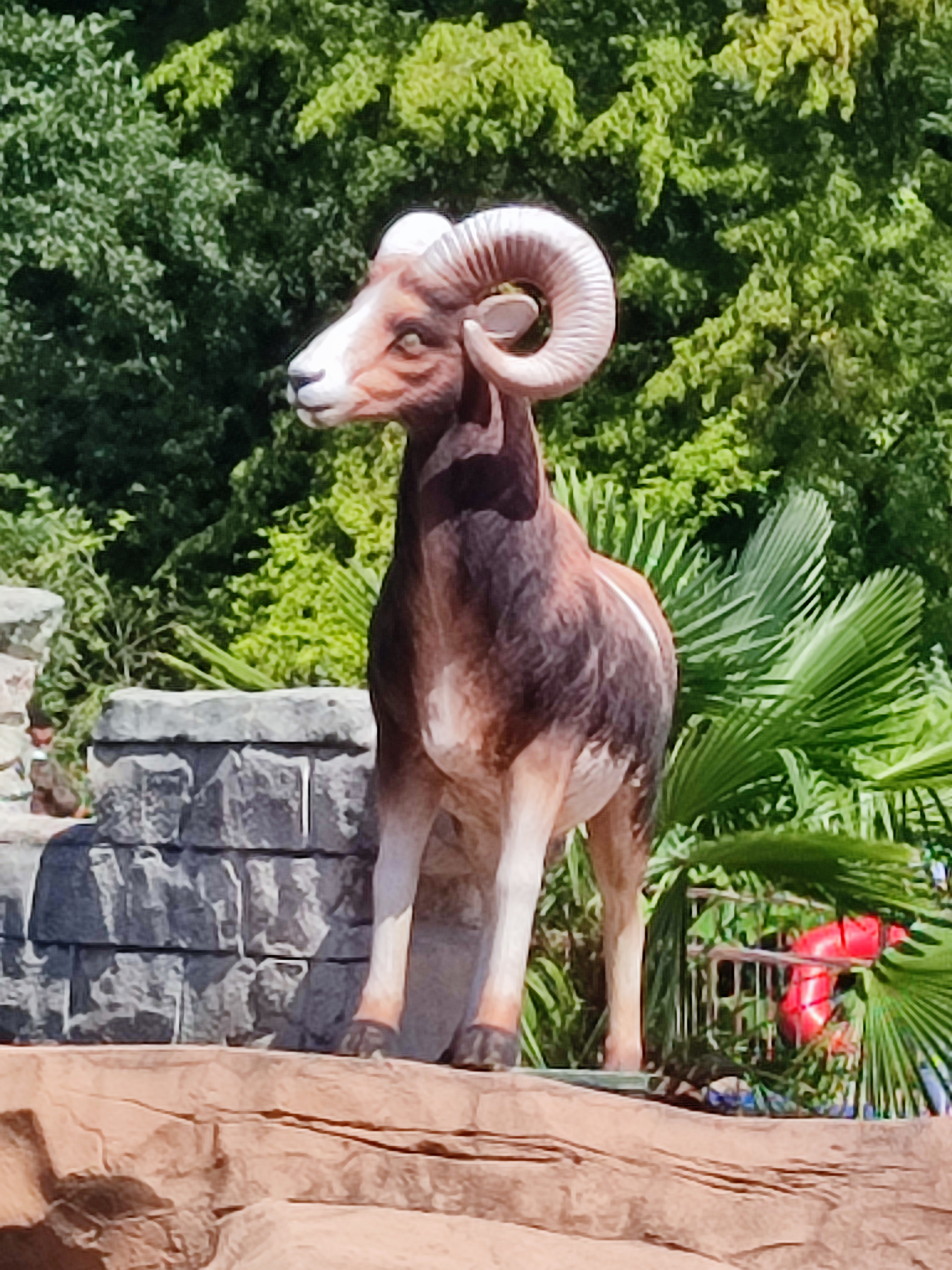 Photo n° 5 de l'avis de Pruvot.� fait le 22/08/2019 à 13:22
