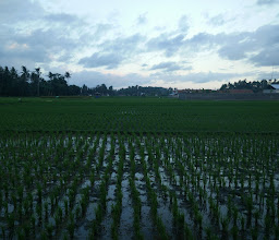Warung Carik Aban photo