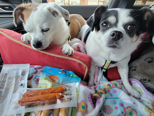 Pet Supply Store «Concord Pet Foods & Supplies», reviews and photos, 19287 Miller Rd, Rehoboth Beach, DE 19971, USA