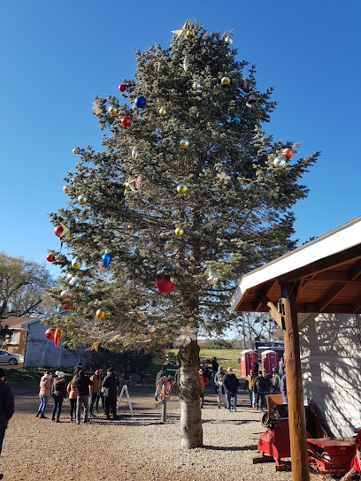 Richardson Christmas Tree Farm