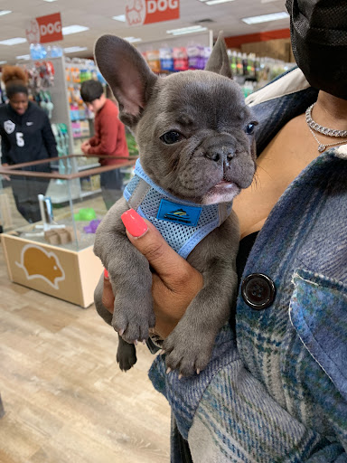 Pet Supply Store «Petland Dallas», reviews and photos, 11909 Preston Rd, Dallas, TX 75230, USA