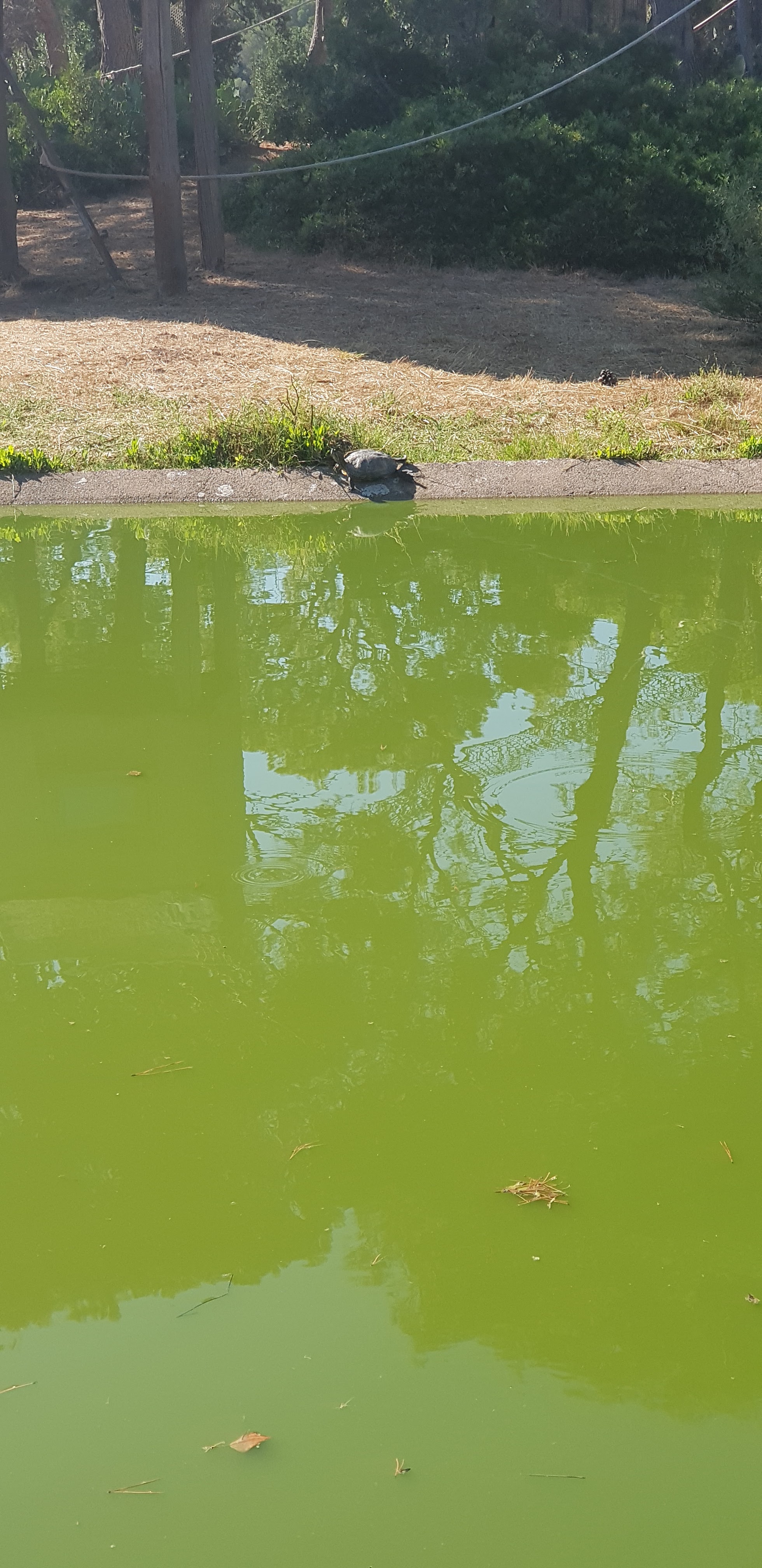 Photo n° 30 de l'avis de stephanie.a fait le 05/08/2018 à 15:29
