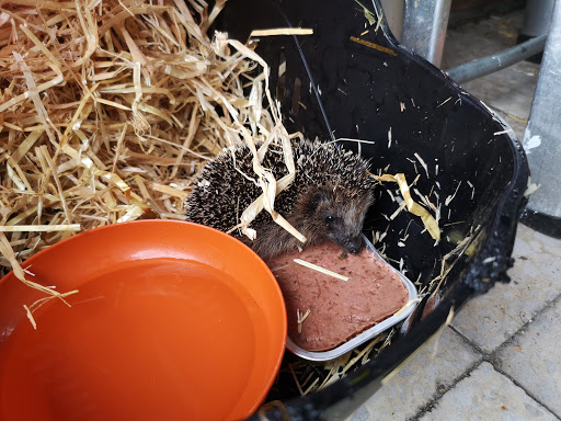 Tierarztpraxis Dr. Schleich + Dr. Neumann unter Kamen, Nordrhein-Westfalen